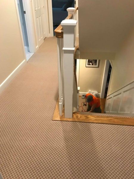 Wood stairs with carpet runner into hallway