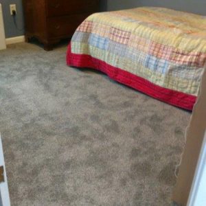 Boston Metrowest Wall To Wall Carpet