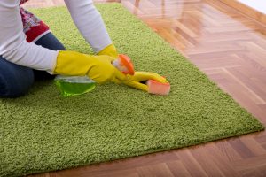 Disinfectant Service For Rugs